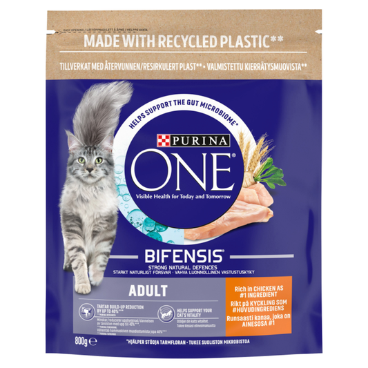 Purina ONE Adult Chicken and Whole Grains Dry Cat Food - 800g