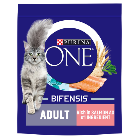 Purina ONE Adult Salmon and Whole Grains Dry Cat Food - 800g