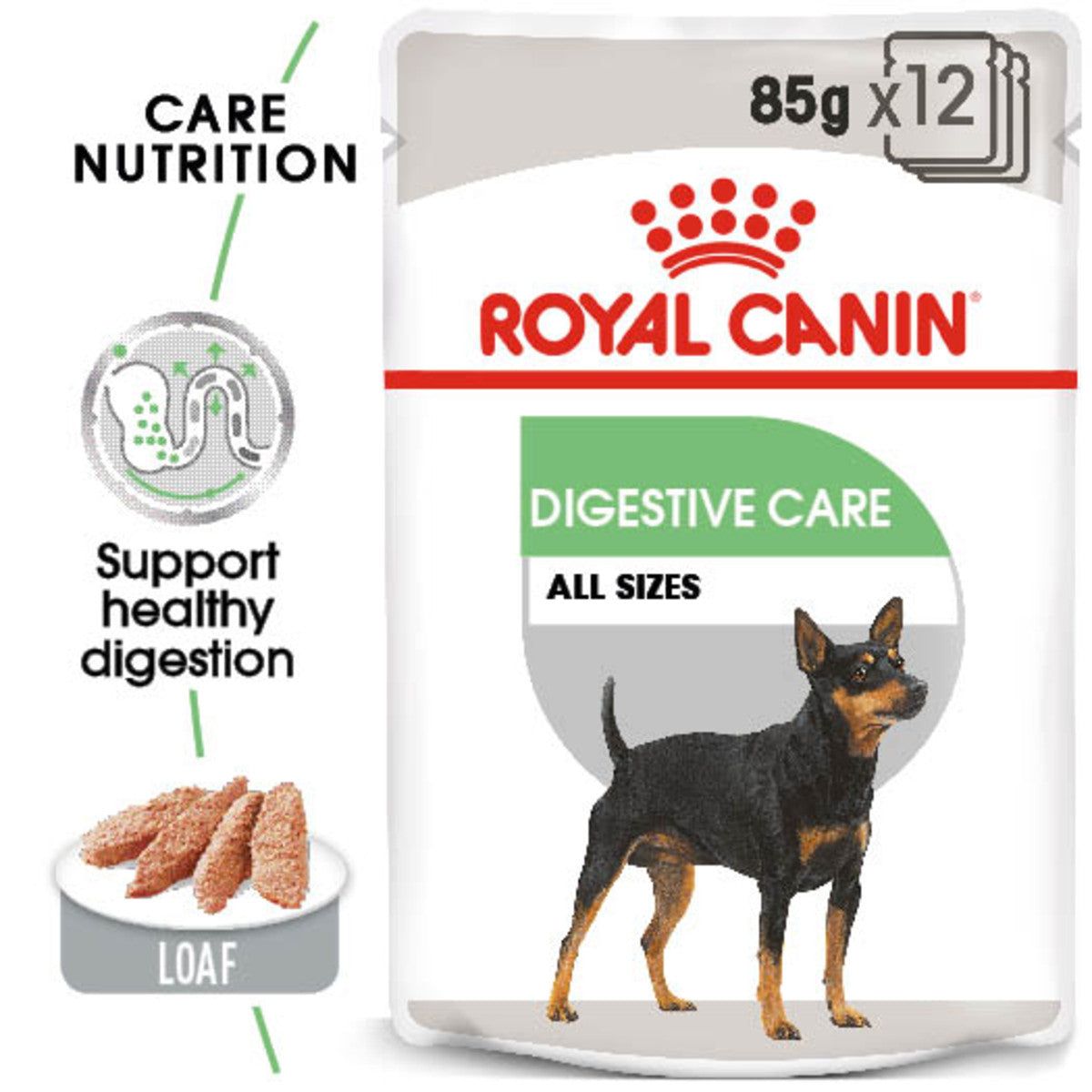 Royal Canin Digestive Care Adult Wet Dog Food Pouches -12 x 85g