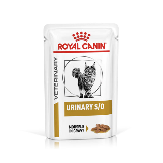 Royal Canin Veterinary Diet Feline Adult Urinary S/O Morsels in Gravy Wet Cat Food Pouches - 48 x 85g